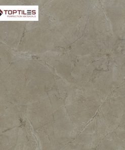 GẠCH ẤN ĐỘ - 100X100 -  HG1007